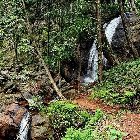 Karadikallu Homestay - Private Waterfalls & Guided Trek Sakleshpur Exterior photo