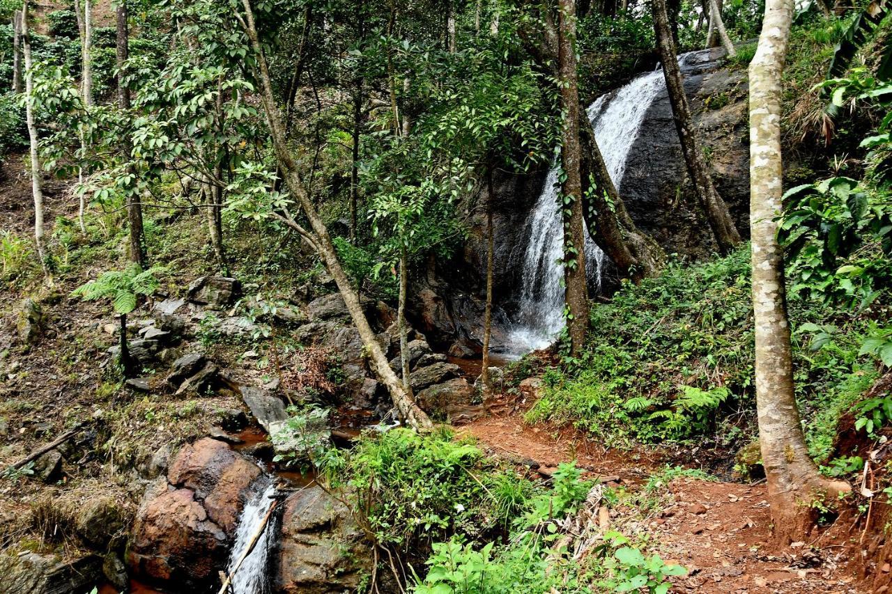 Karadikallu Homestay - Private Waterfalls & Guided Trek Sakleshpur Exterior photo